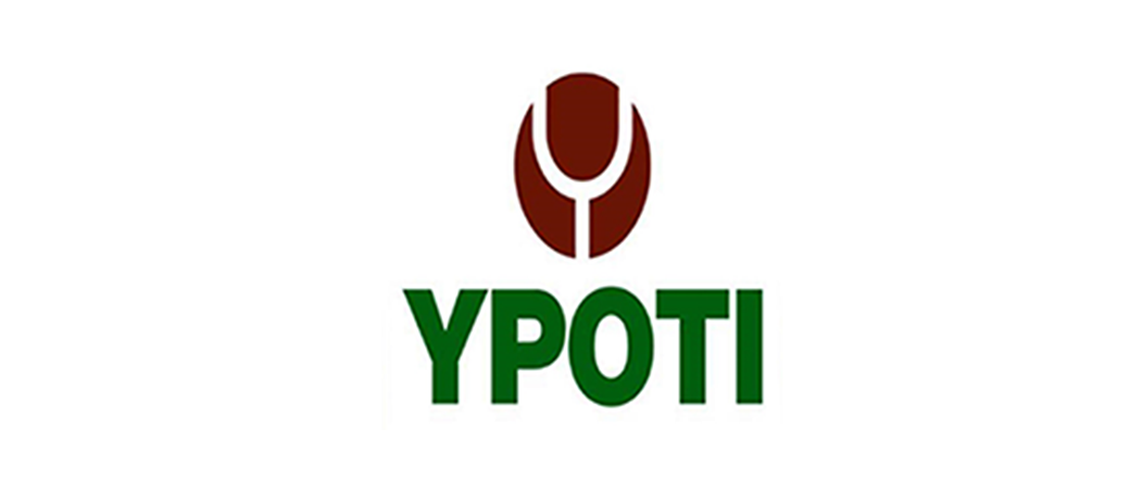 Patrocinador 2